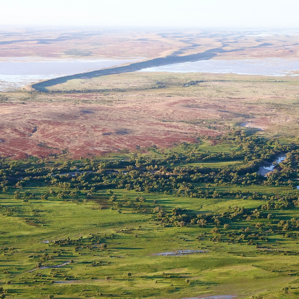 From the air