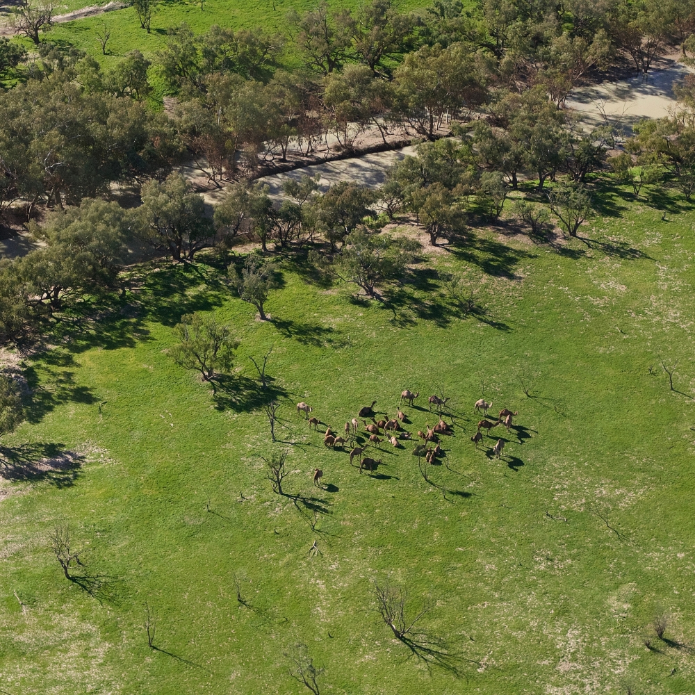 From the air