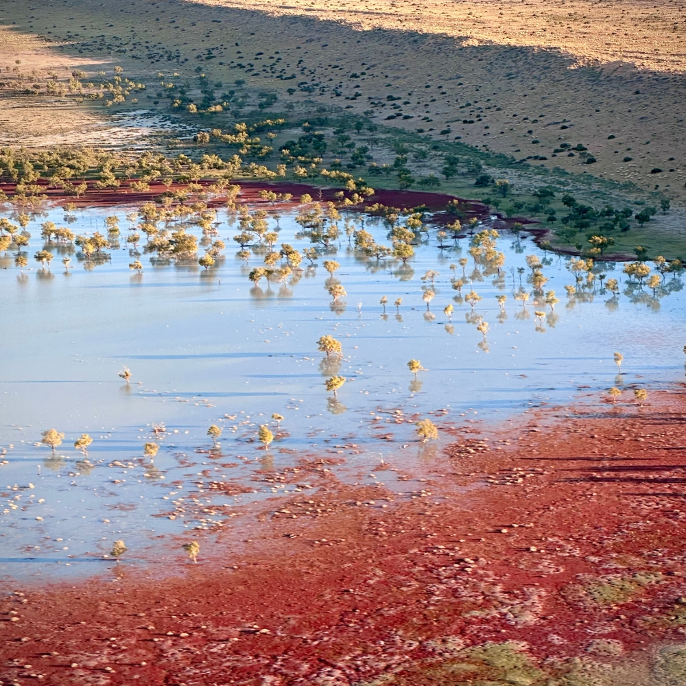 From the air