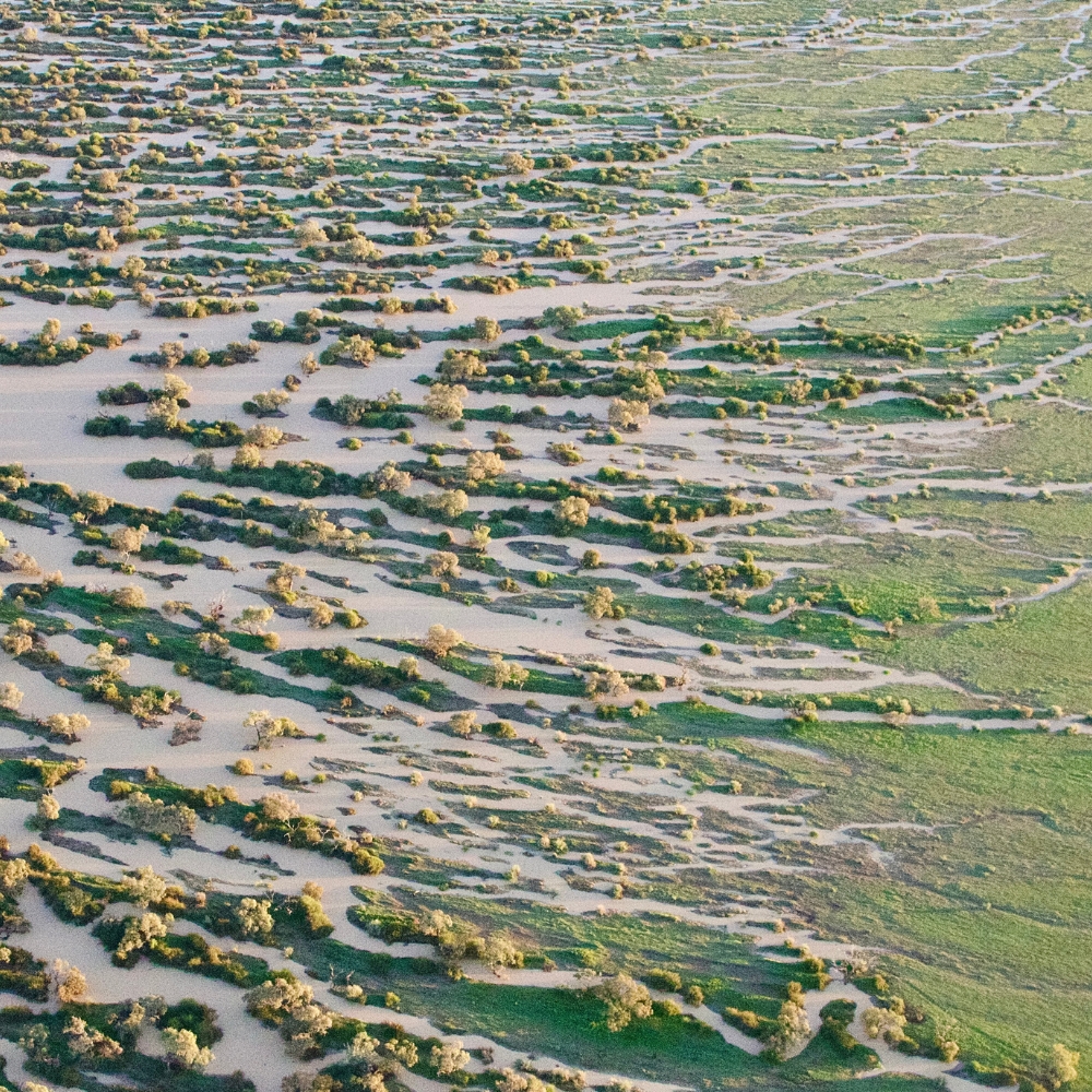 From the air